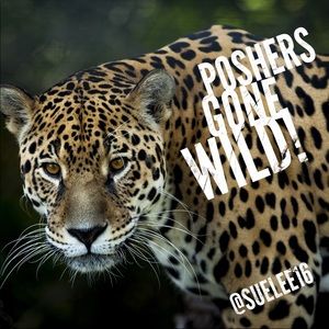 🌿🐆🌺 Poshers Gone WILD‼️🌿